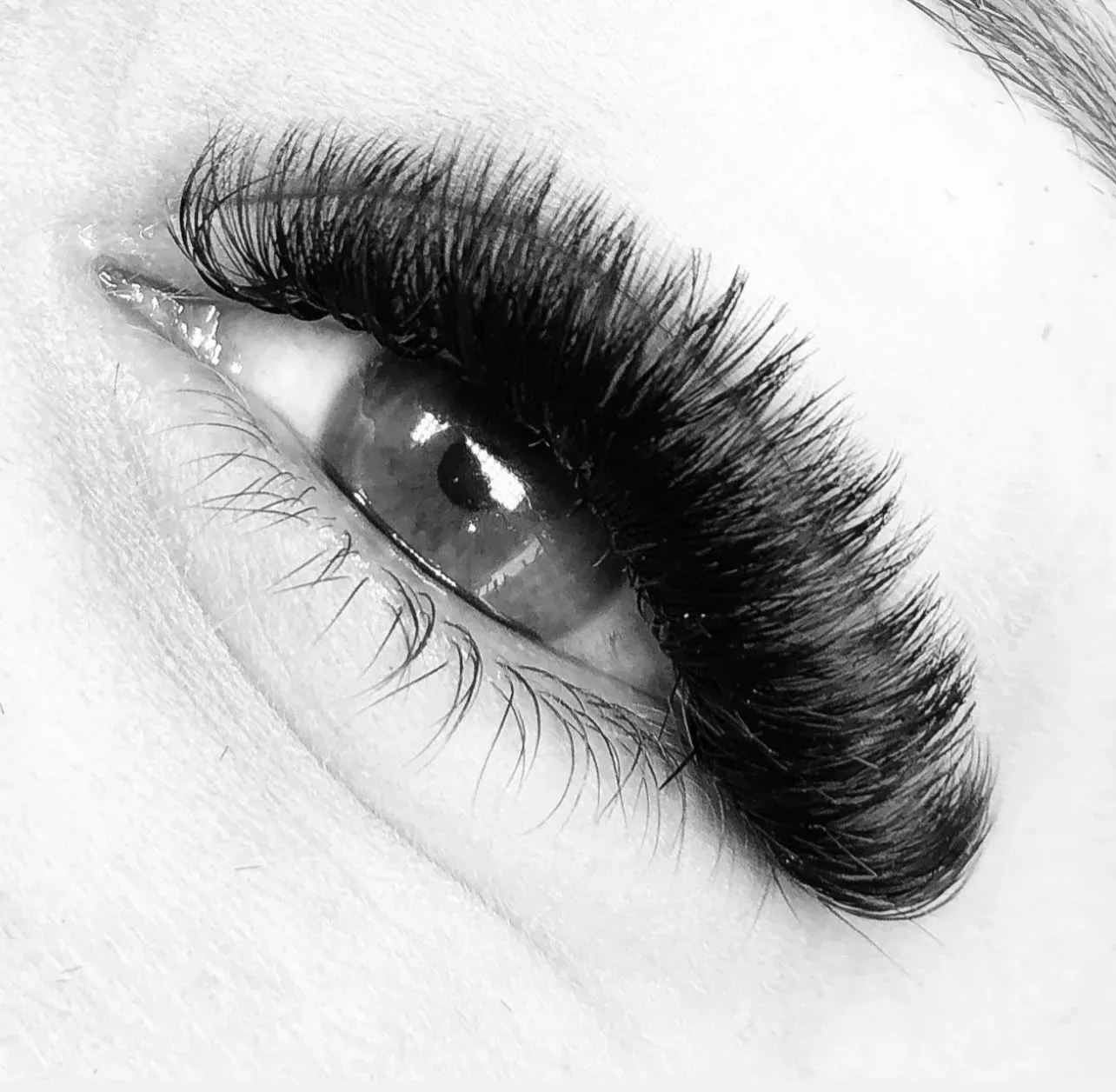 Secret’Eyes Beauty Concept - Sourcils & cils Le Pradet - Secret’Eyes Beauty Concept - Photo Galerie - OneBooking