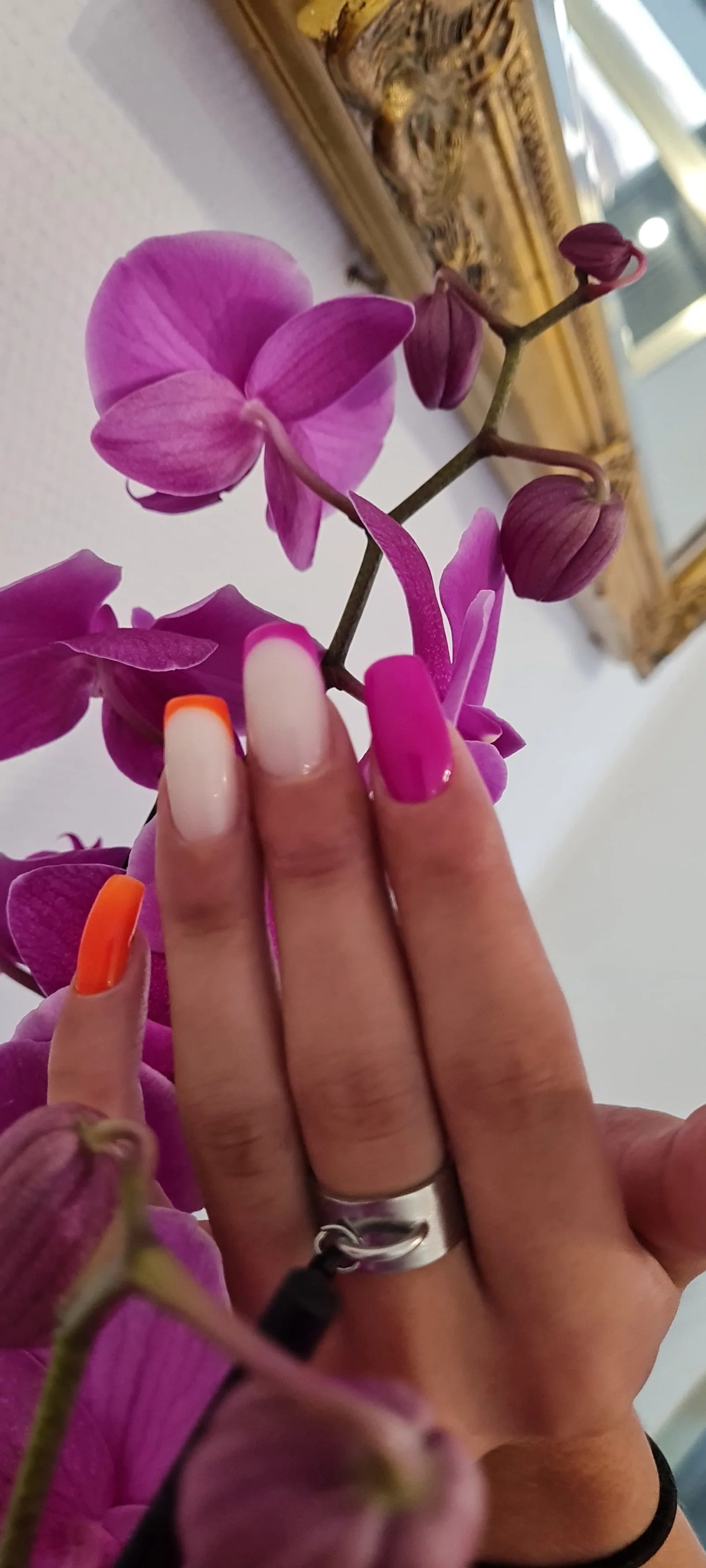 Bella Nails - Onglerie Rodez - Bella Nails - Photo Galerie - OneBooking
