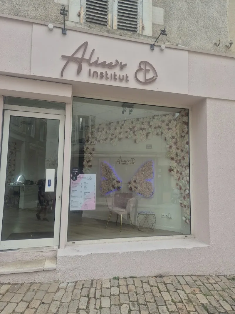 ALICE'S INSTITUT