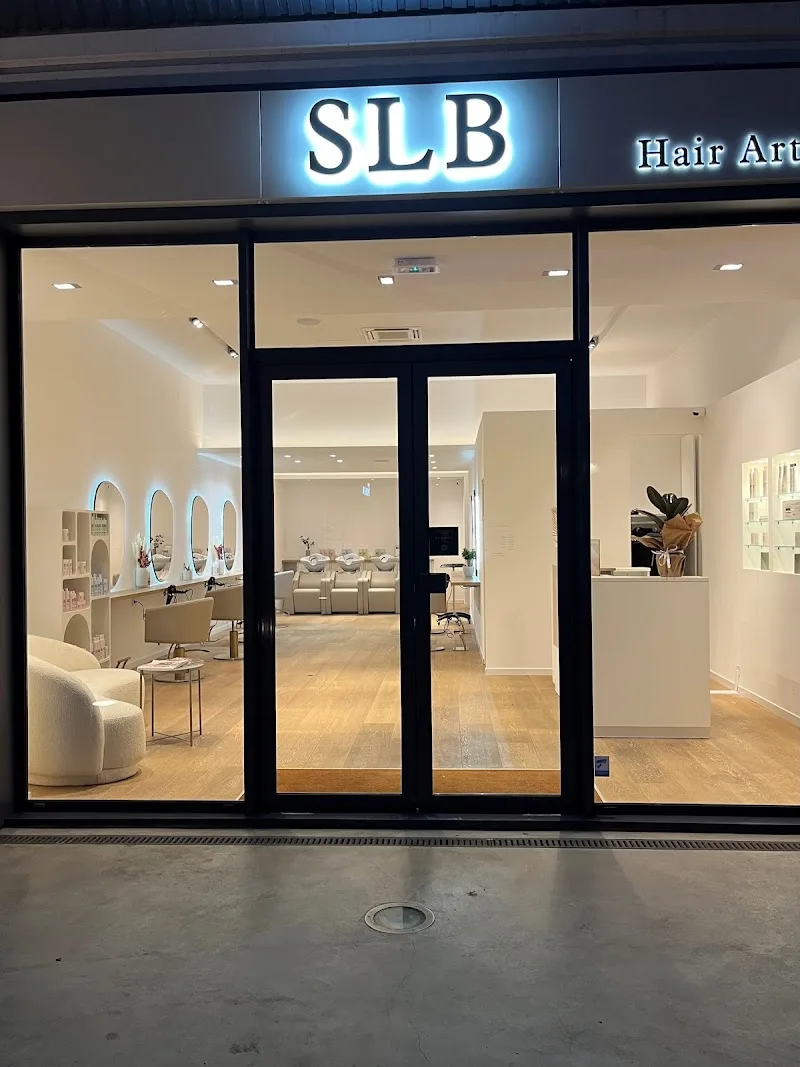SLB hair artist