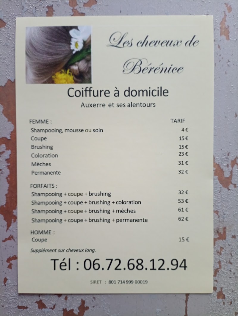 Les Cheveux de Bérénice - Coiffure Auxerre - OneBooking