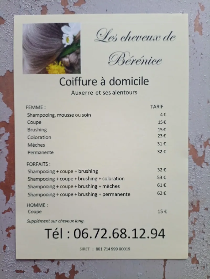 Les Cheveux de Bérénice