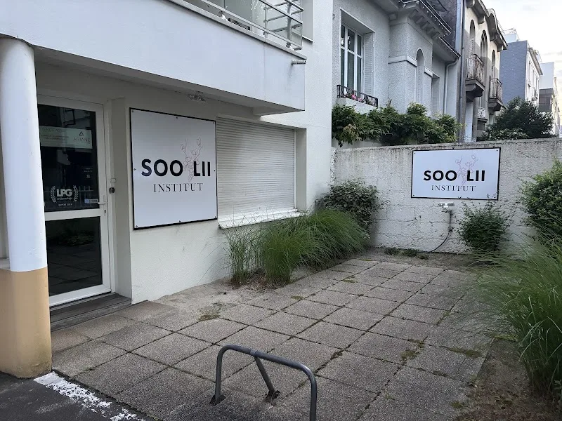 Soo Lii Institut
