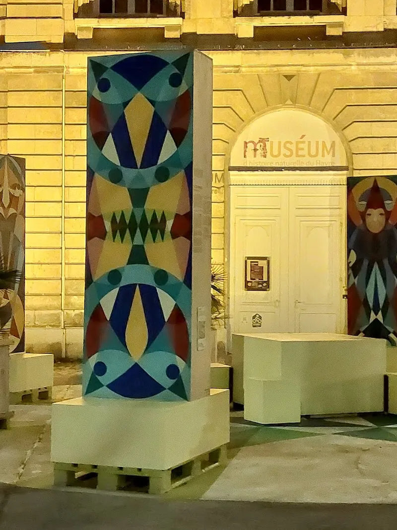 Maddy Sun