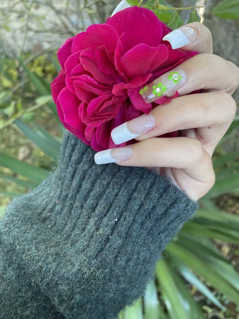 Les Ongles de Marine