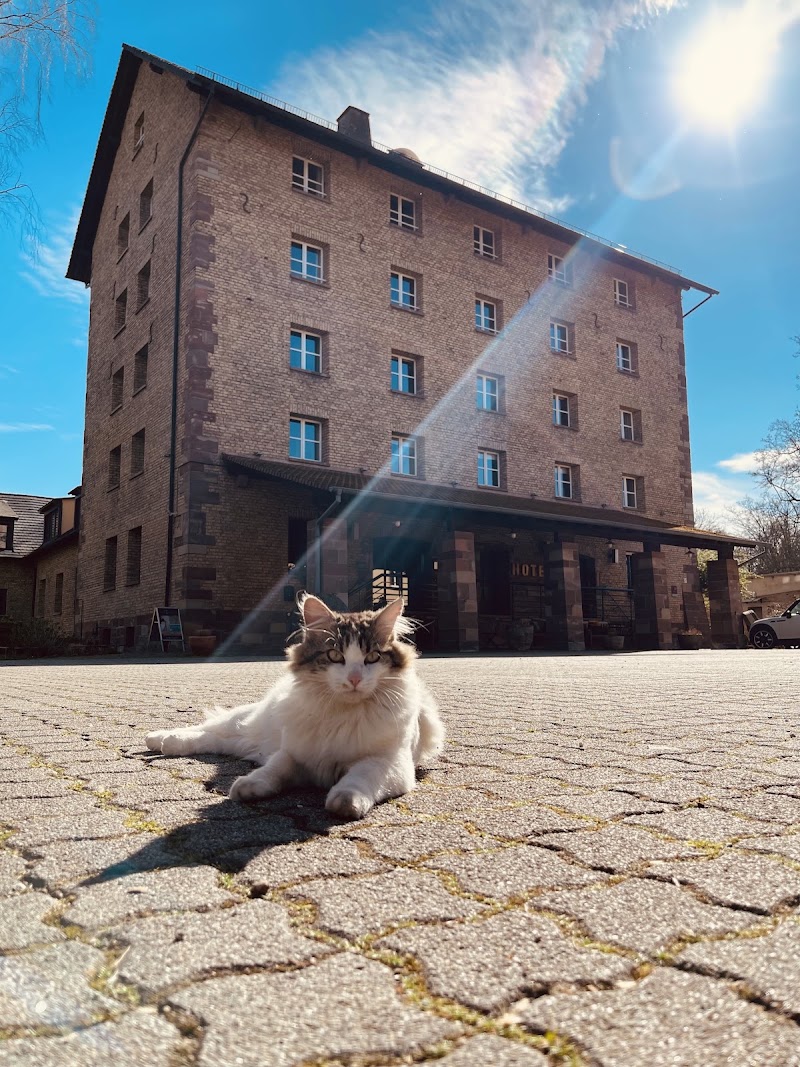 Hôtel Spa Le Moulin De La Wantzenau