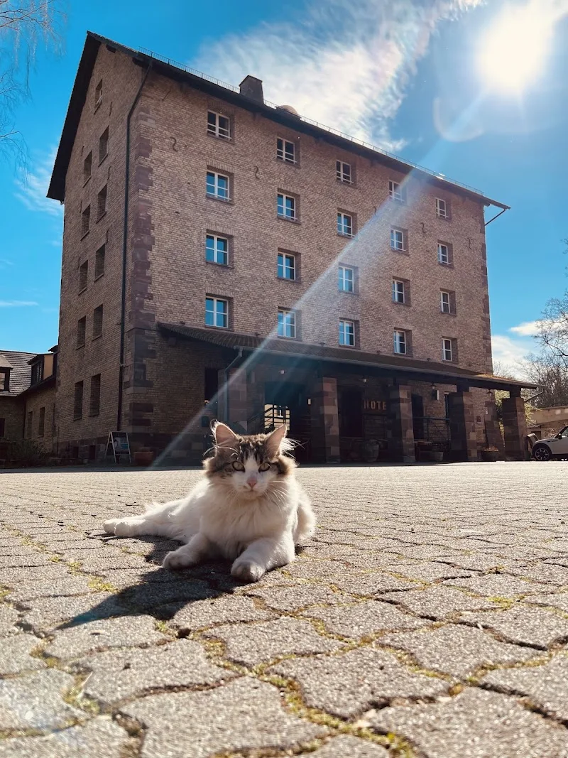 Hôtel Spa Le Moulin De La Wantzenau