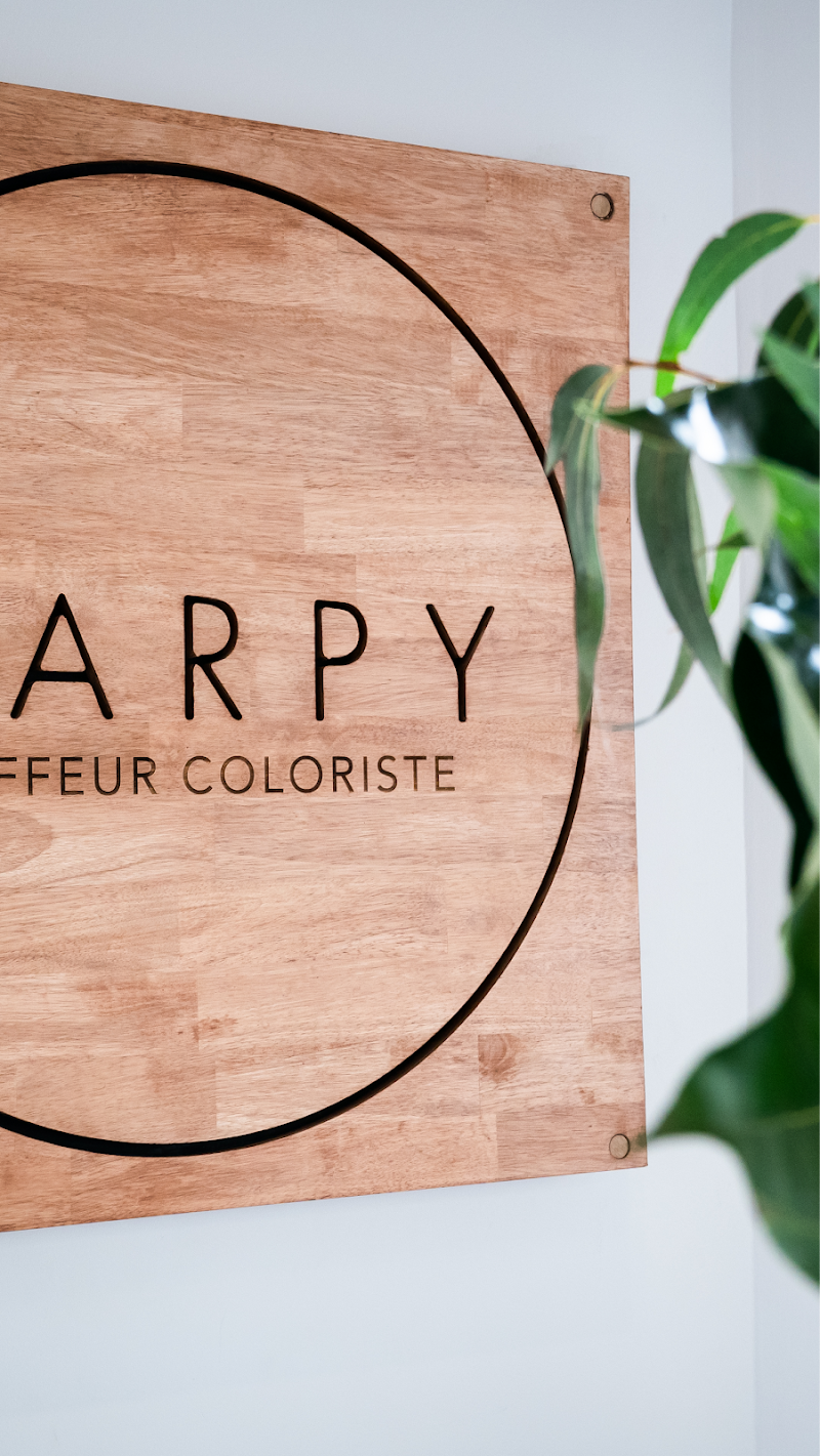 Carpy coiffeur coloriste Orléans - Coiffure Orléans - OneBooking