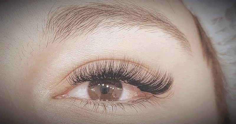 Crazy'lash