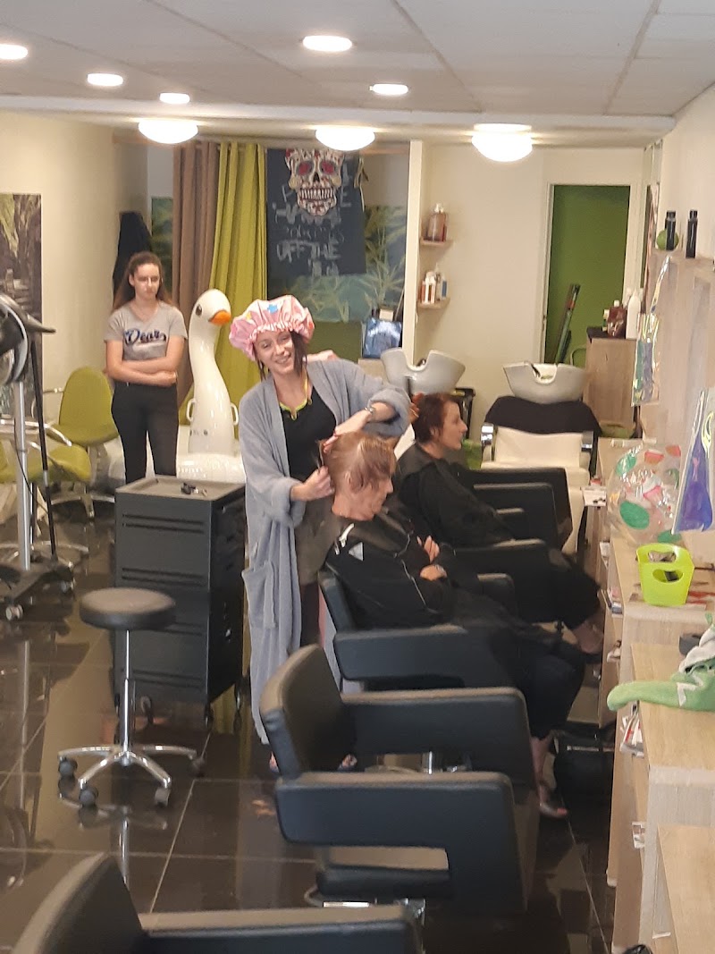 Bios Hair LE MANS - Coiffure Le Mans - OneBooking