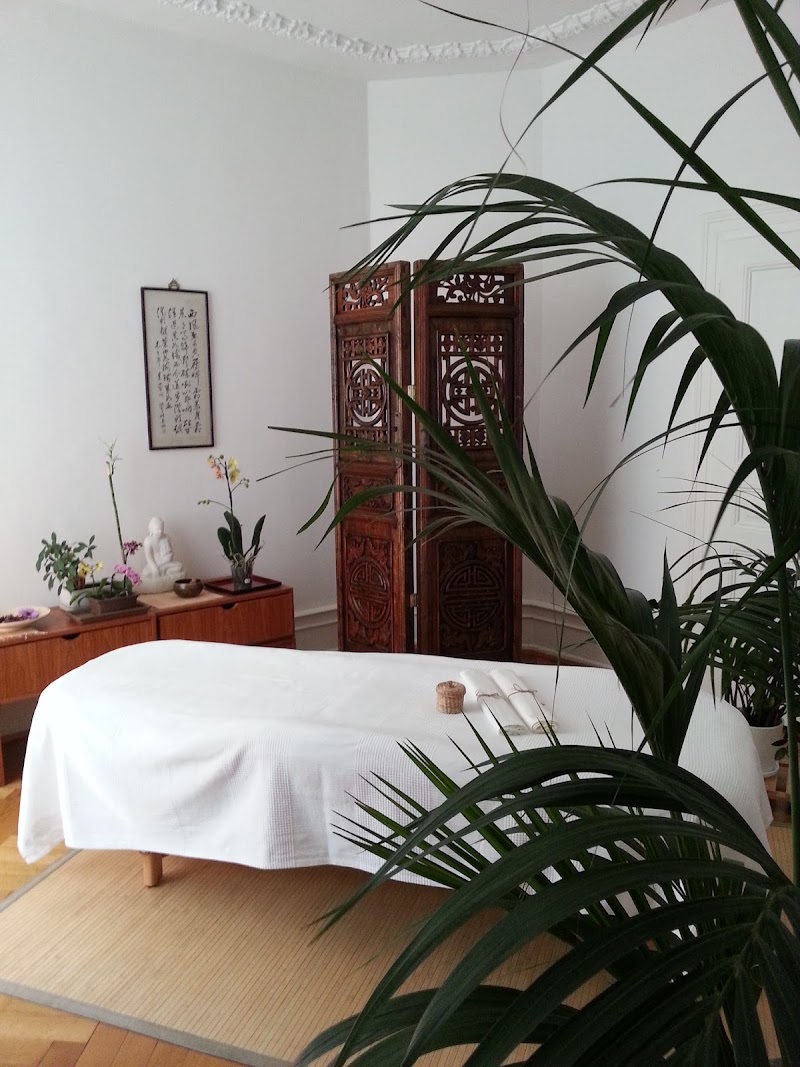 Concept Massage Wellness - Caroline Maurey