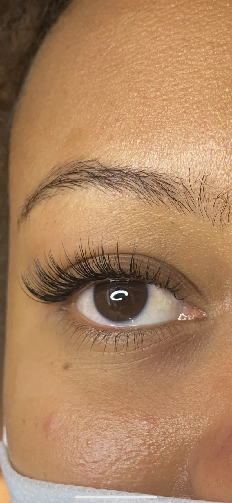 Lila Glam Lashes