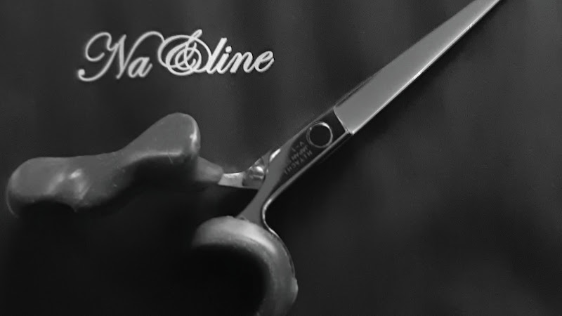 Naeline - Coiffure Aurillac - OneBooking
