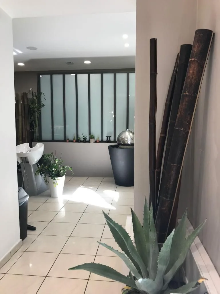 Salon Lisa NK
