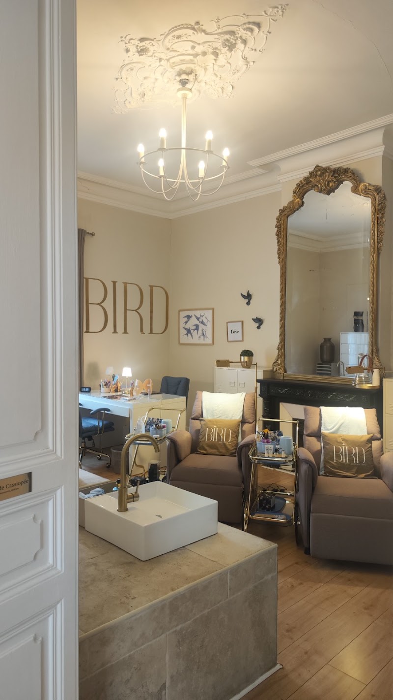 Bird Lash Academie