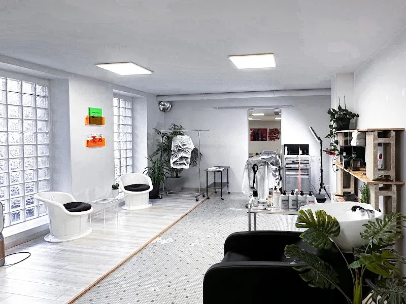 Zine gallery concept studio
