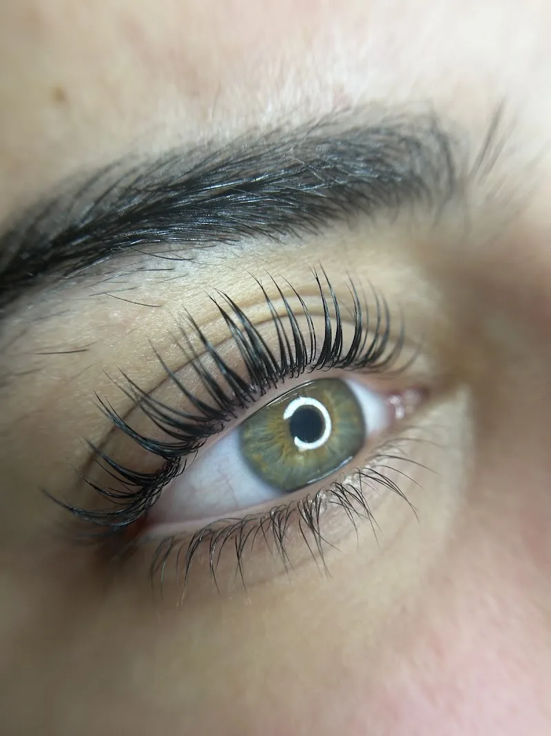 Beautiful Brows