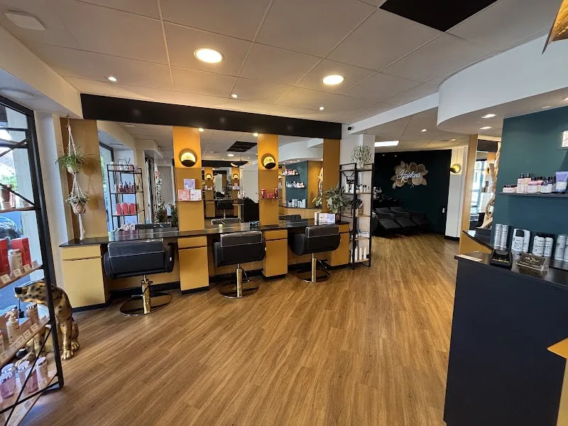 Hair Land