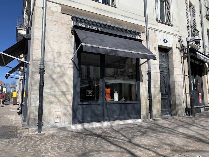 David Ricossé Coiffeur - Coiffure Tours - OneBooking