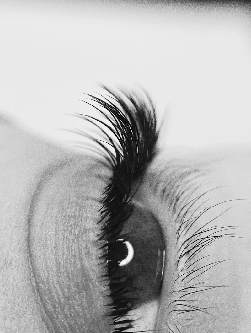 FLOWERY EYES - Centre de formations et prestations expertes du regard