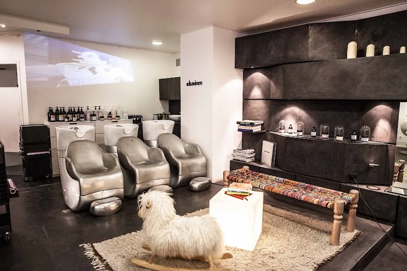 Hair Deluxe