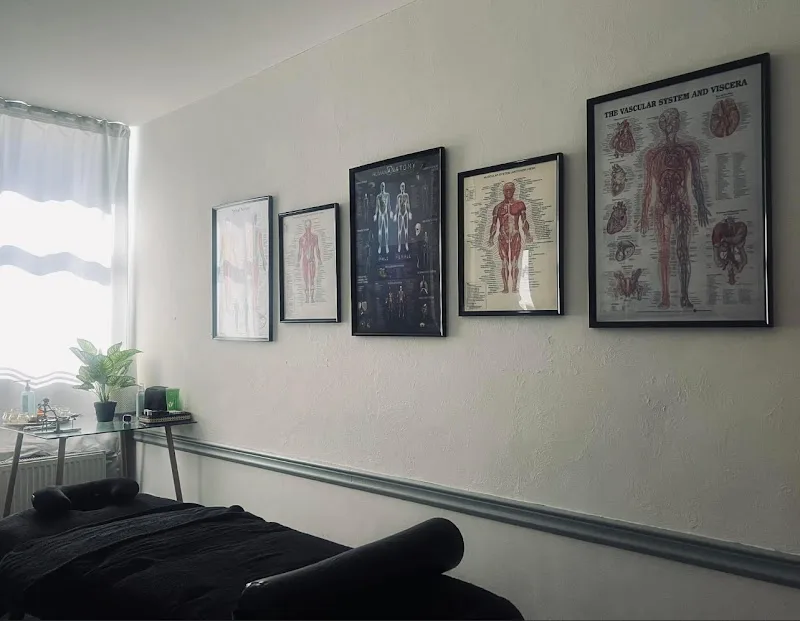 Cupping therapy OZ - Massage sportif - Massage relaxant - Hijama - Drainage lymphatique - Acupuncture - Kinésithérapeute