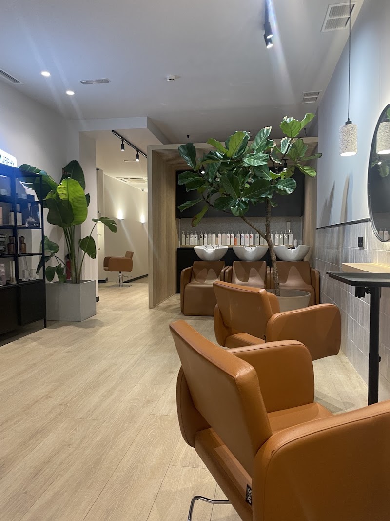 Salón Concept Hair - Coiffure A Coruña - OneBooking