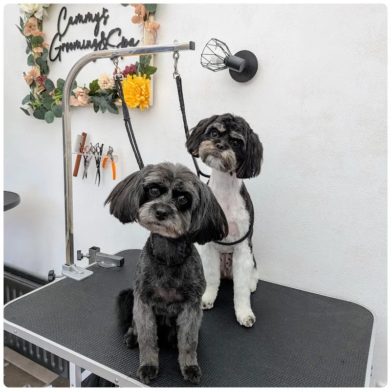 Cammy's Grooming & Spa
