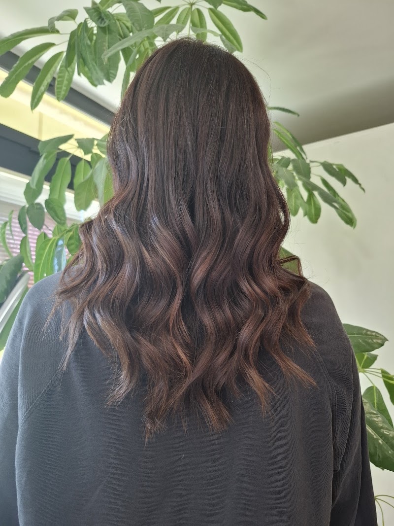 Evergreen - Coiffure Ferrara - OneBooking