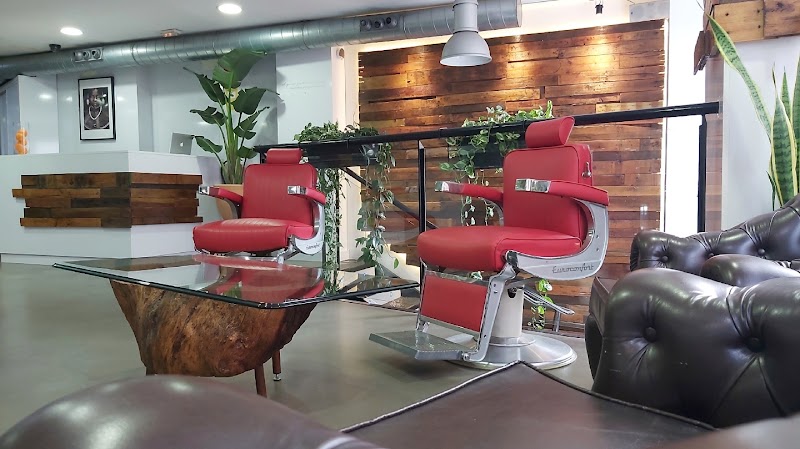 Peluqueria Frank Peluqueros Alicante - Coiffure Alicante - OneBooking
