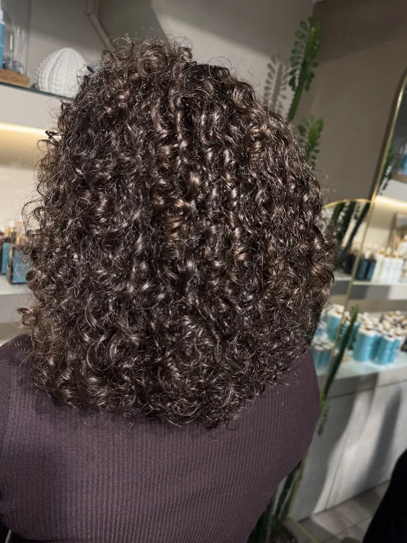 Dark&Bright hair couture