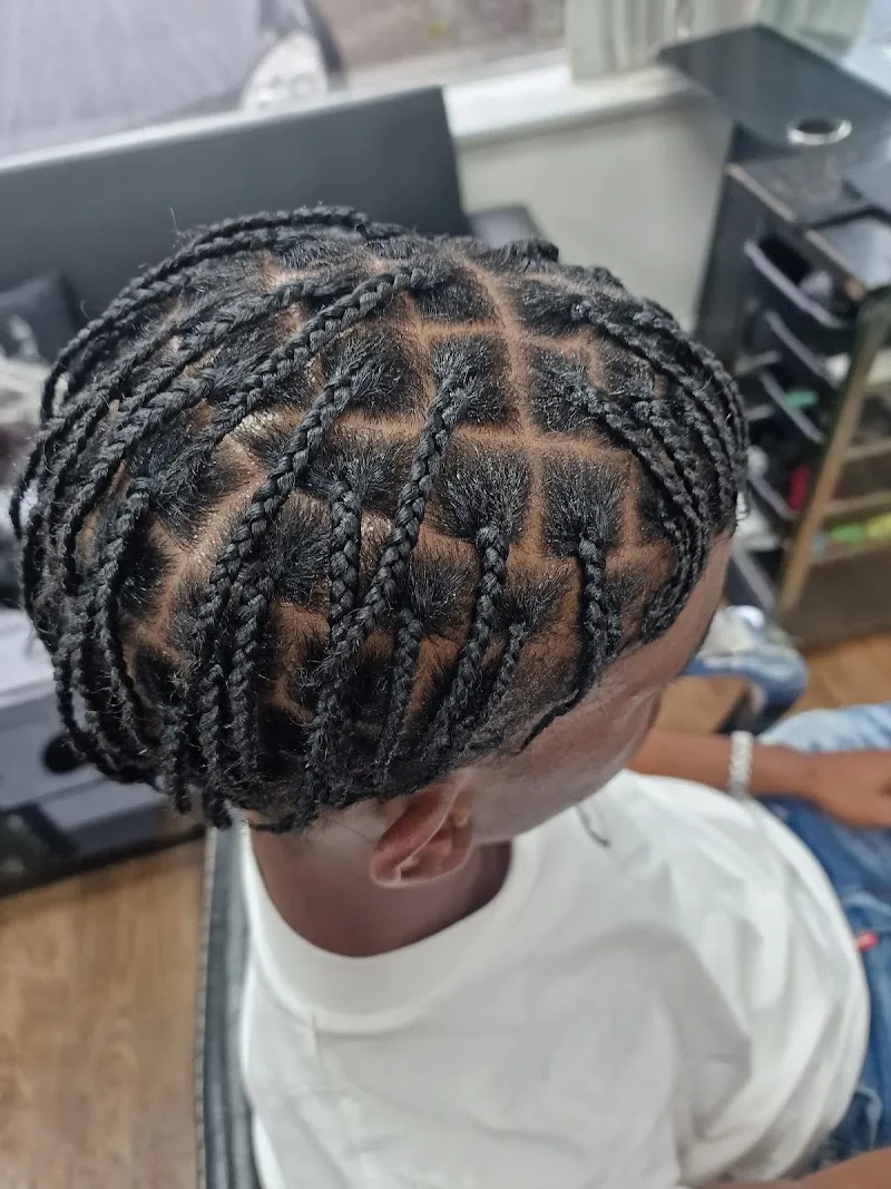 Hair Affair Salon - Dreadlocks Loctician, Braids, Box Braids and Natural Hair