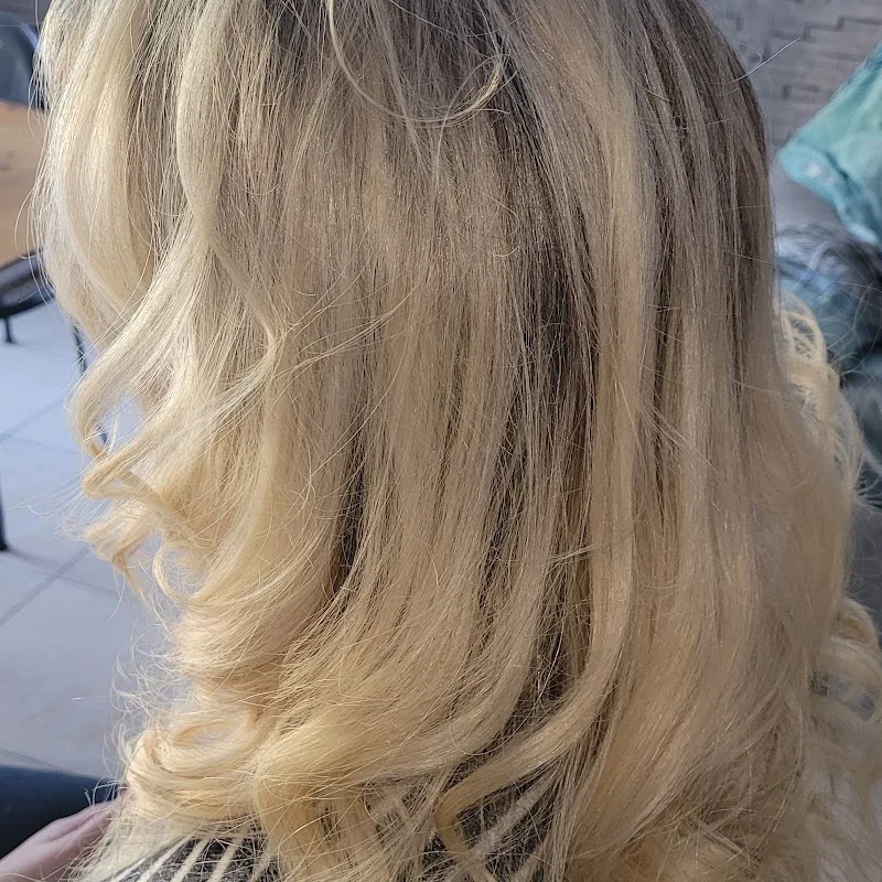 Alliance Coiffure