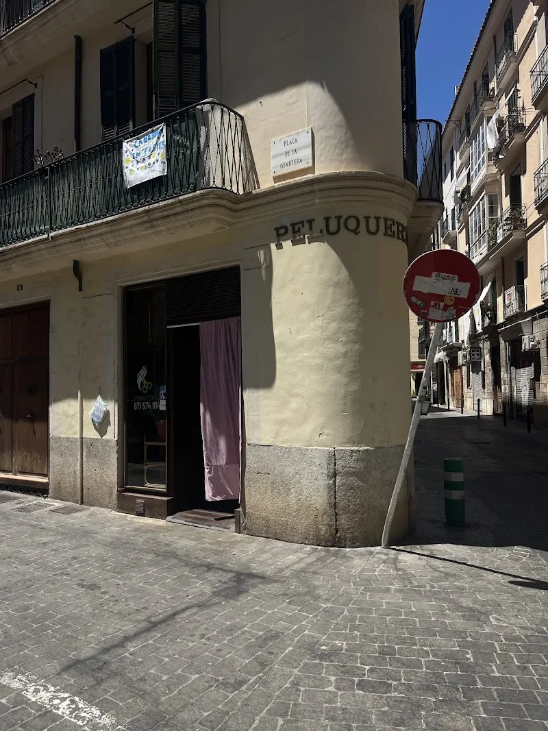 Naturcot - Coiffure Palma De Mallorca - Photo de couverture - OneBooking