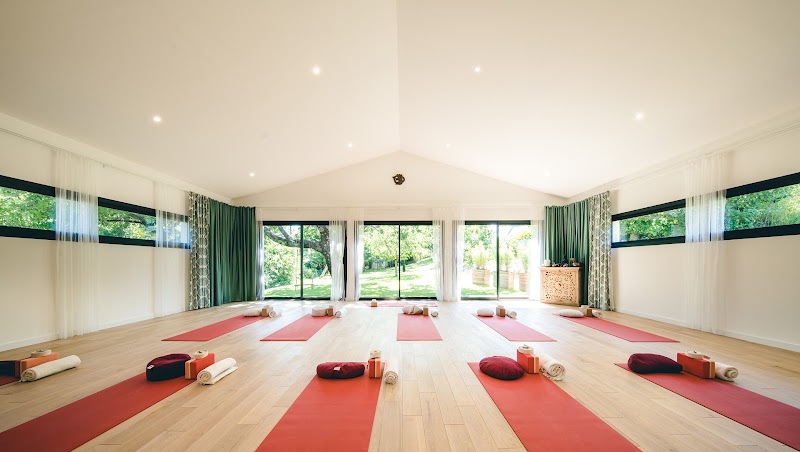 Lumière I Yoga - méditation - Bien-être