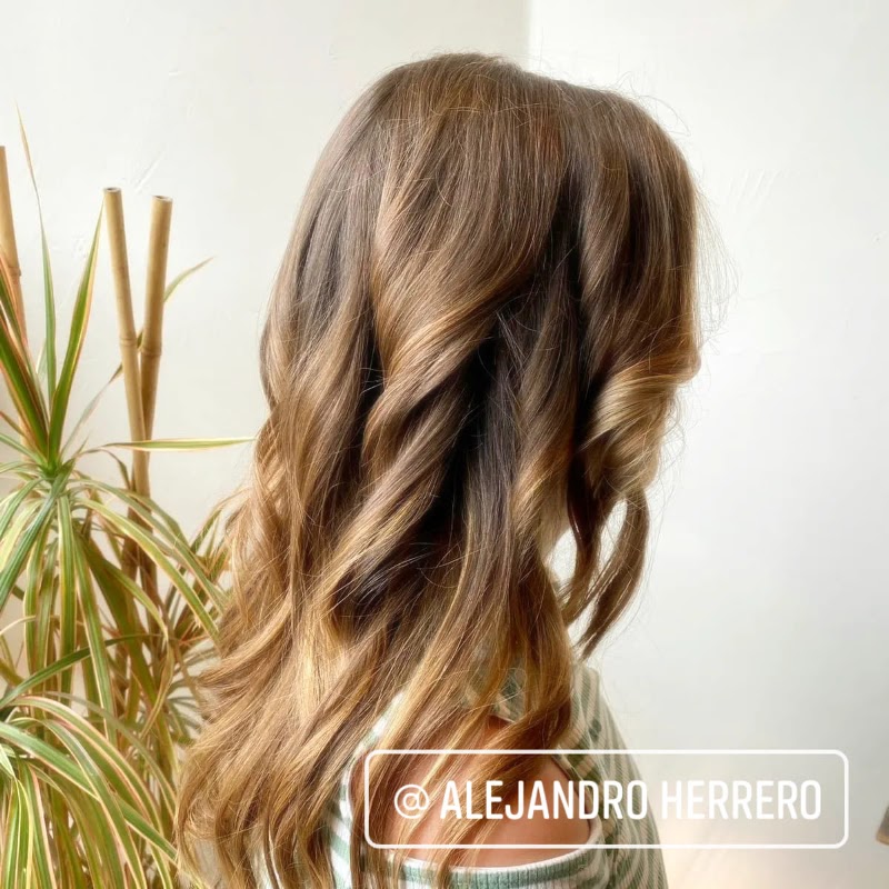 Peluquería Alejandro Herrero - Coiffure Bilbao - OneBooking