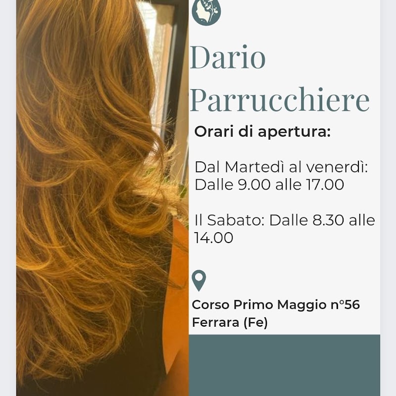 Dario Parrucchiere di Sansone Dario - Coiffure Ferrara - OneBooking