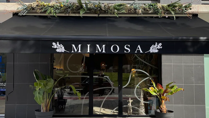 Mimosa Beauty Salon Pau5