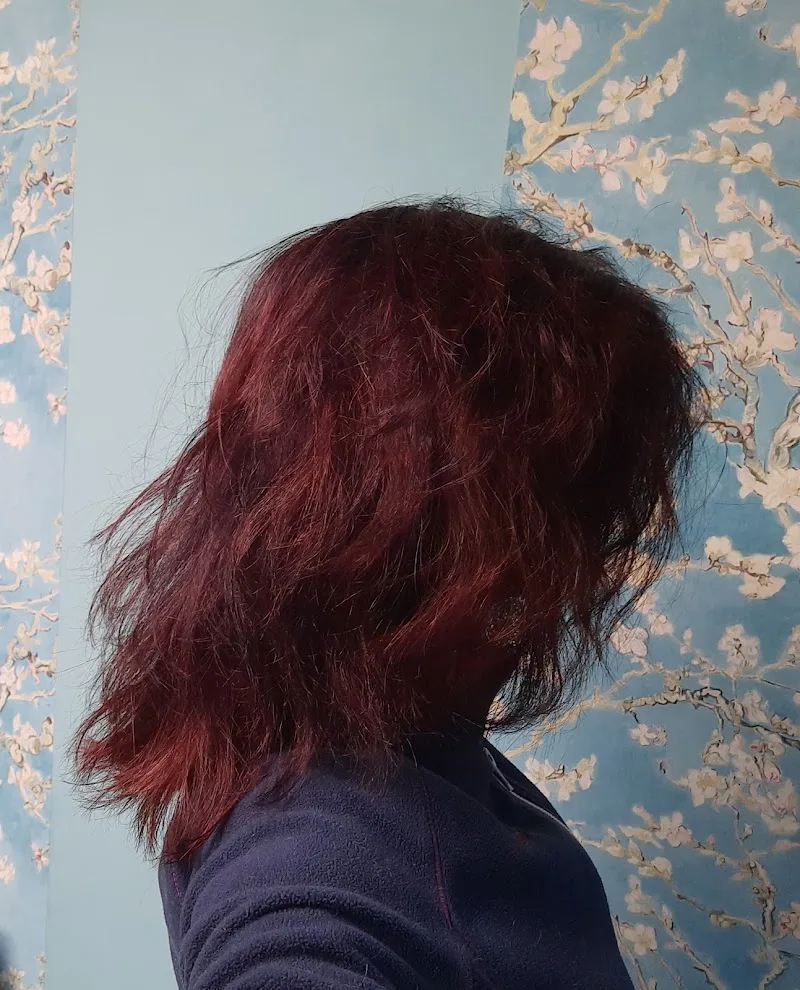 Piccas Hair