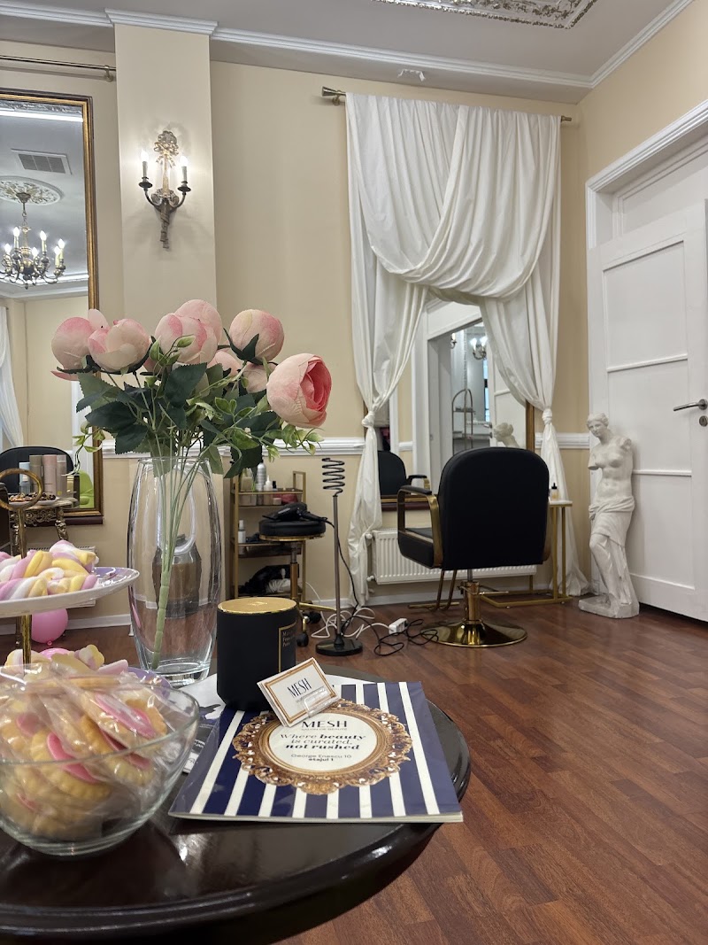 Mesh Salon