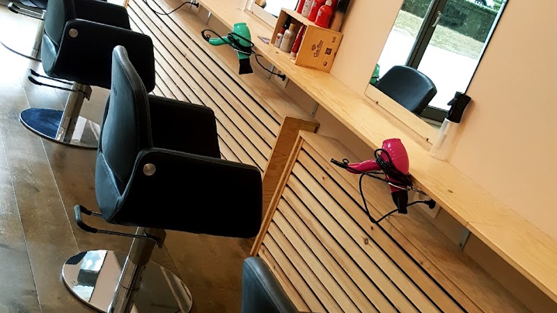 Color & Hair Art Bio Kapper ✂ - Coiffure Antwerp - OneBooking