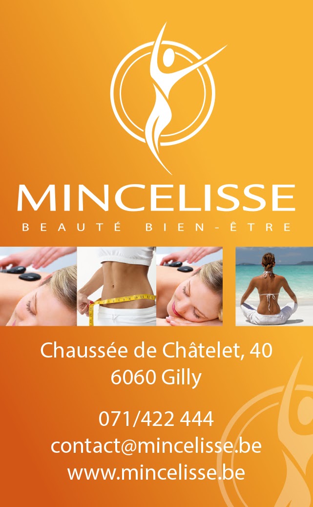 Institut Mincelisse