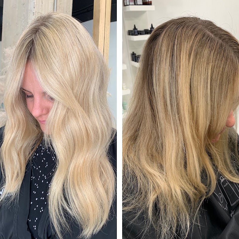 Elegance Colors - Coiffure València - OneBooking