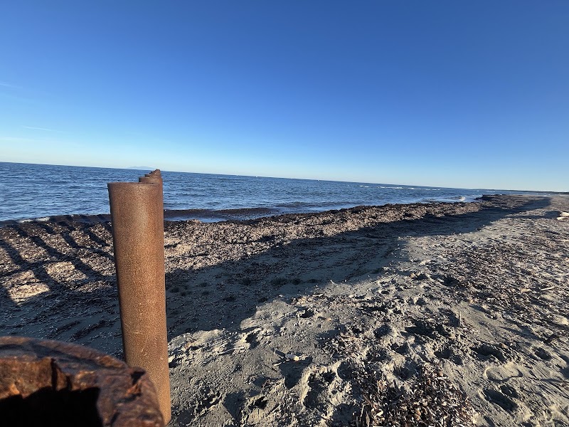 Espace littoral dunaire protégé