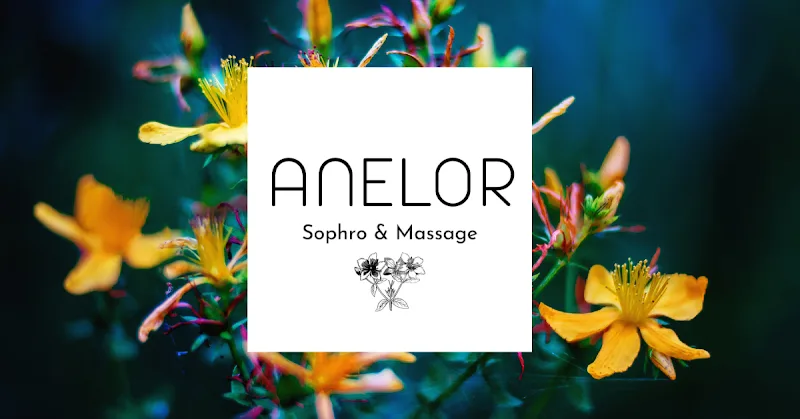 Anelor Massages & Energies, Massages à Tours bien être et énergétiques, Chi Nei tsang, Innerdance