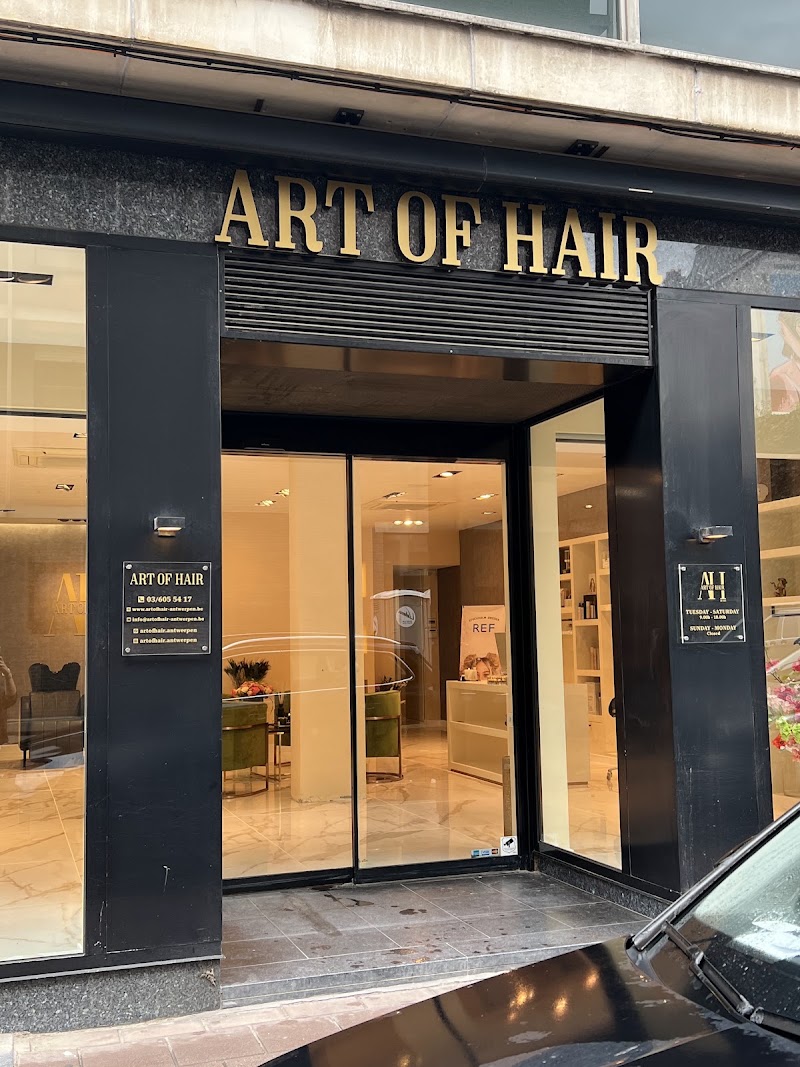 Art of Hair ✂ - Coiffure Antwerp - OneBooking