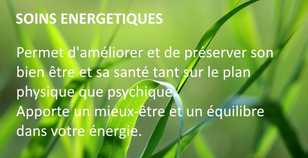 Sophie Tesnière Magnétiseur