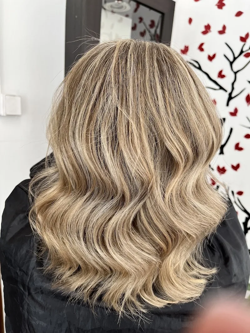 Butterfly Hair and Beauty Salon