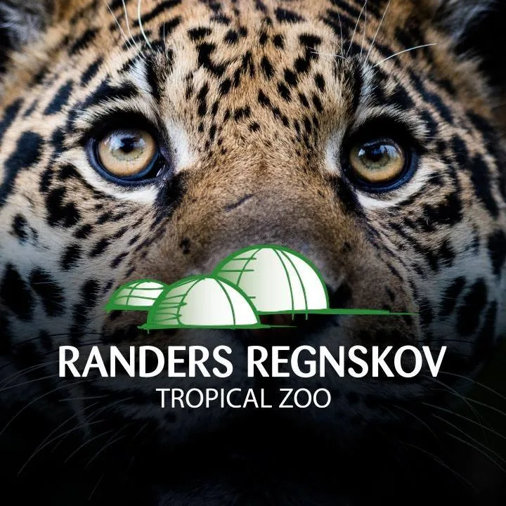 Randers Regnskov