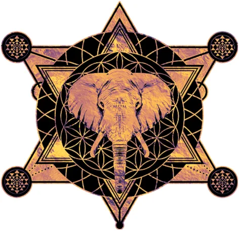 A pas d'éléphant - Massage chinois - Tuina - Guasha - Réflexologie plantaire - Tours